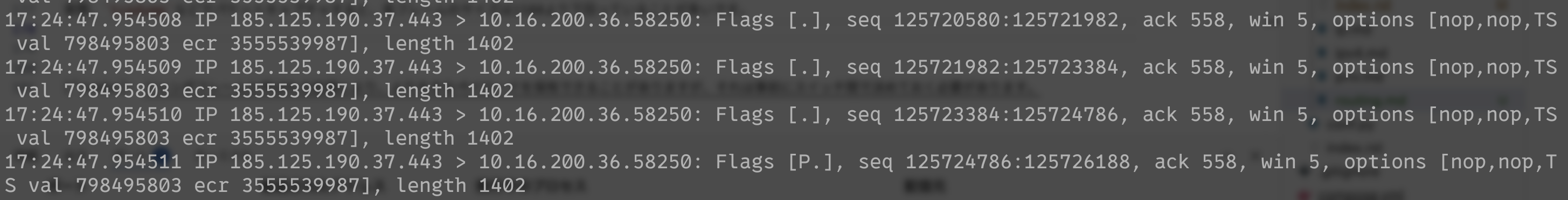 tcpdumpでのパケットキャプチャ